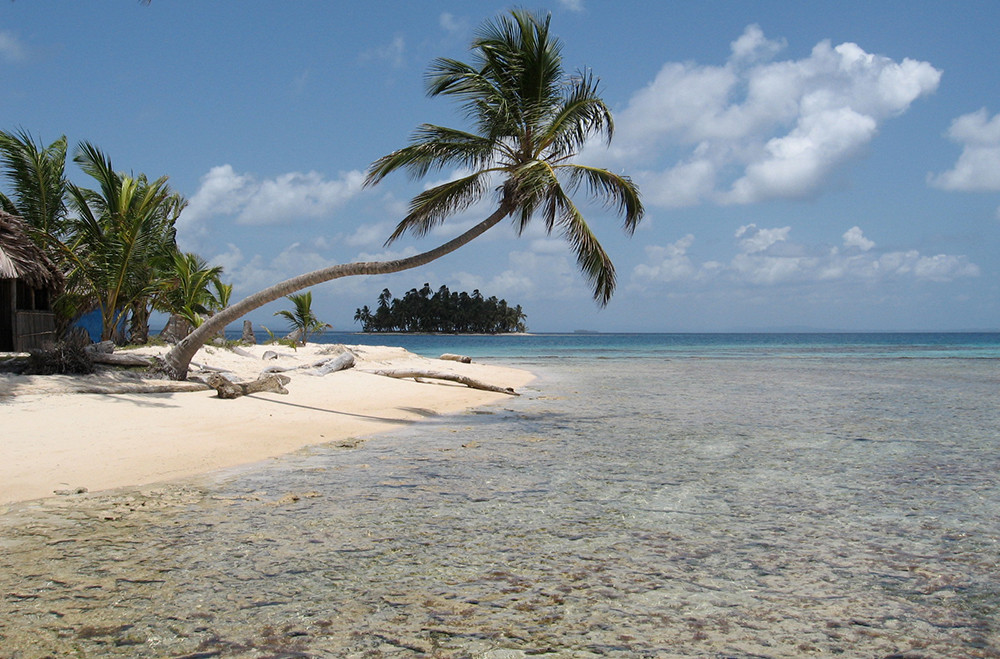 Palme über weißem Sandstrand mit türkisem Meer und Insel in der Ferne vor Bocas del Toro
